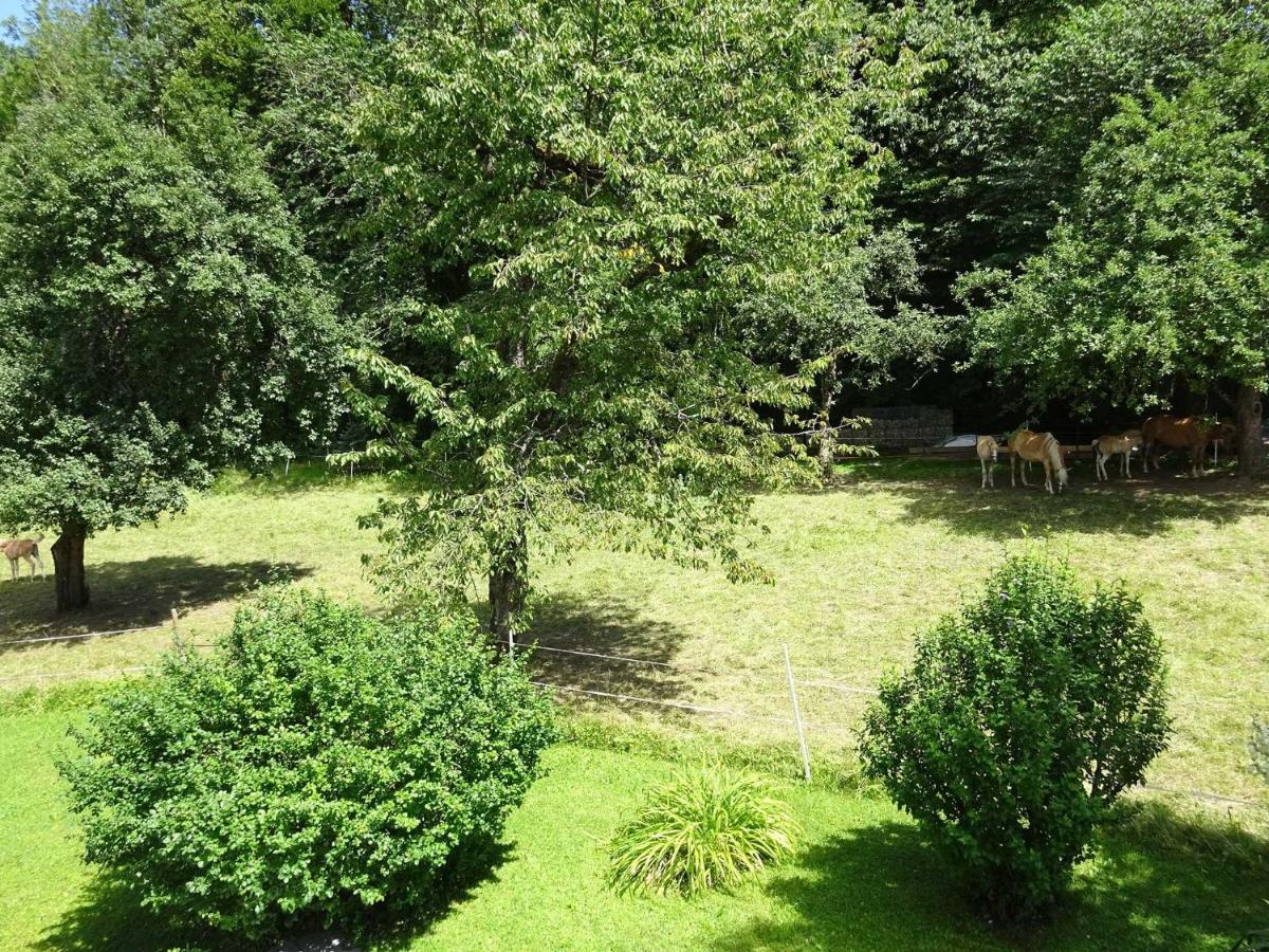 Ferienwohnungen Auhaus Bad Reichenhall Εξωτερικό φωτογραφία