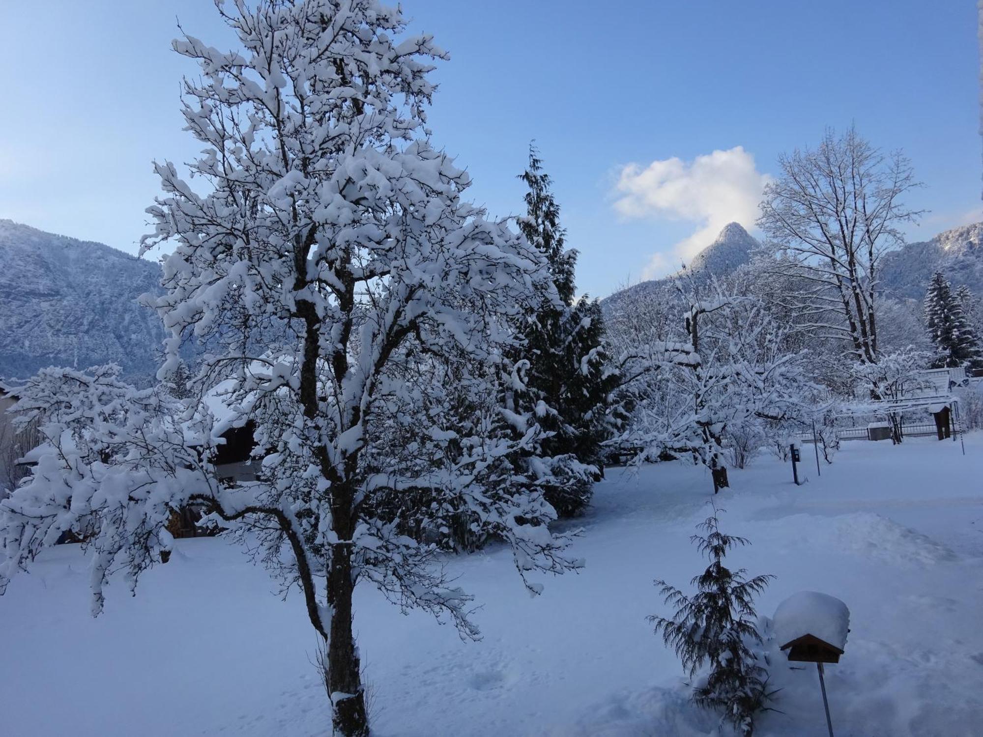 Ferienwohnungen Auhaus Bad Reichenhall Εξωτερικό φωτογραφία