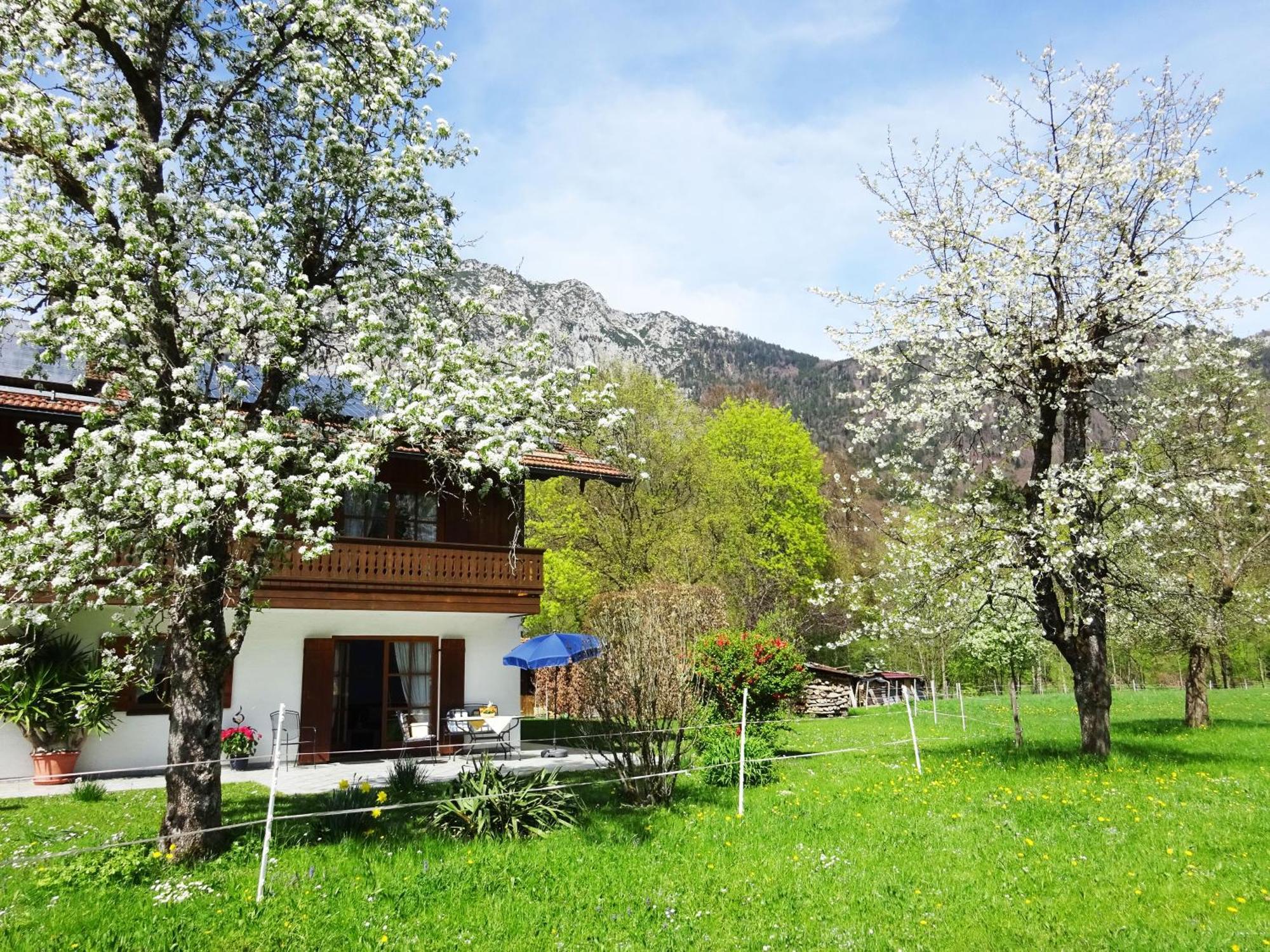 Ferienwohnungen Auhaus Bad Reichenhall Εξωτερικό φωτογραφία