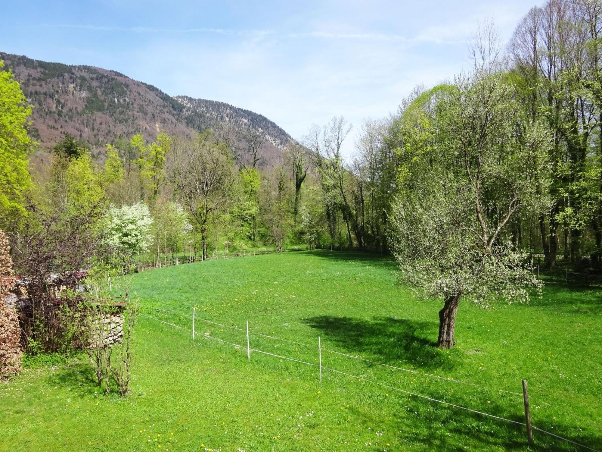 Ferienwohnungen Auhaus Bad Reichenhall Εξωτερικό φωτογραφία