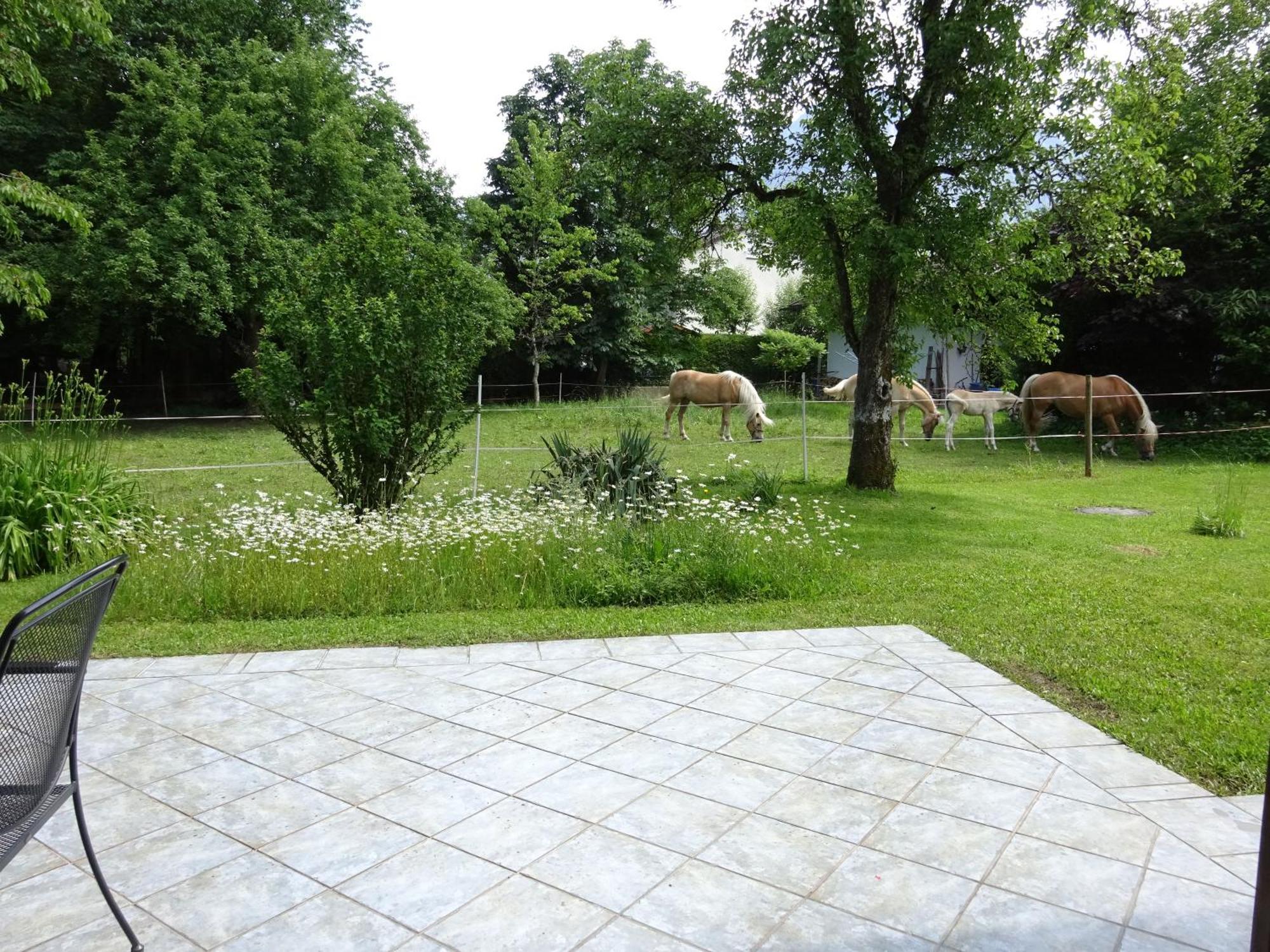 Ferienwohnungen Auhaus Bad Reichenhall Εξωτερικό φωτογραφία